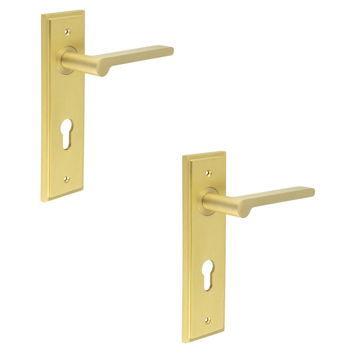 PACK Elegant Satin Brass Euro Backplate Door Handle Stylish Interiors Solid Brass Interior Handle (1)