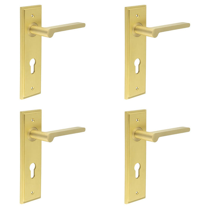 PACK Elegant Satin Brass Euro Backplate Door Handle Stylish Interiors Solid Brass Interior Handle