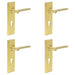 PACK Elegant Satin Brass Euro Backplate Door Handle Stylish Interiors Solid Brass Interior Handle