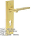 Satin Brass Door Handle with Backplate Bathrooms Solid Brass Interior Handle-1