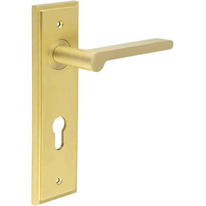 Satin Brass Door Handle with Backplate Bathrooms Solid Brass Interior Handle