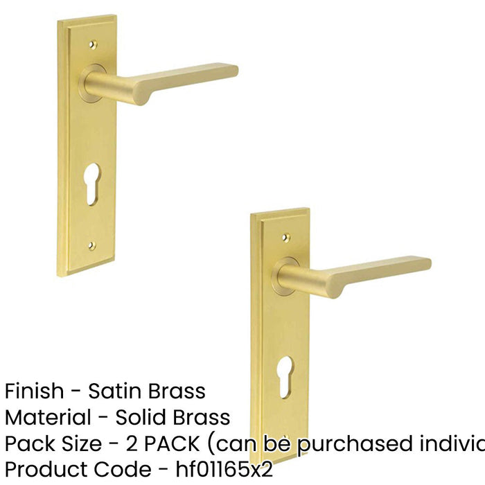 PACK Satin Brass Door Handle with Backplate Bathrooms Solid Brass Interior Handle (2)-1