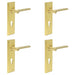 PACK Satin Brass Door Handle with Backplate Bathrooms Solid Brass Interior Handle