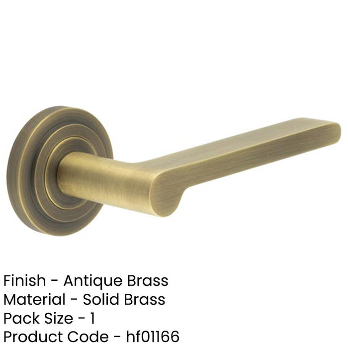 Elegant Antique Brass Door Handle with Stepped Rose Design Modern Homes Solid Brass Interior Handle-1