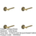 PACK Elegant Antique Brass Door Handle with Stepped Rose Design Modern Homes Solid Brass Interior Handle-1