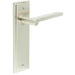 Elegant Satin Nickel Door Handle Latch Backplate Stylish Interiors Solid Brass Interior Handle