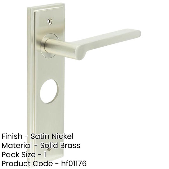 Elegant Satin Nickel Door Handle with Backplate Bathrooms Solid Brass Interior Handle-1