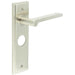 Elegant Satin Nickel Door Handle with Backplate Bathrooms Solid Brass Interior Handle