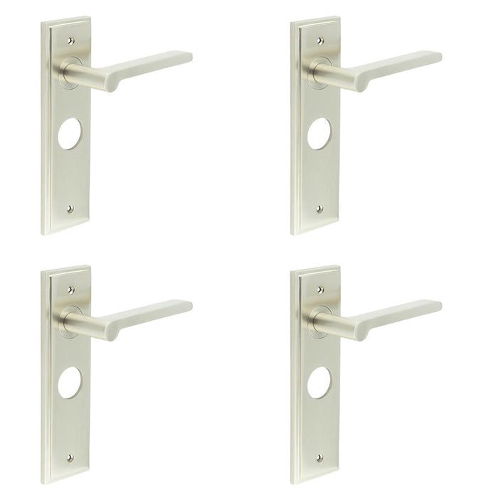 PACK Elegant Satin Nickel Door Handle with Backplate Bathrooms Solid Brass Interior Handle