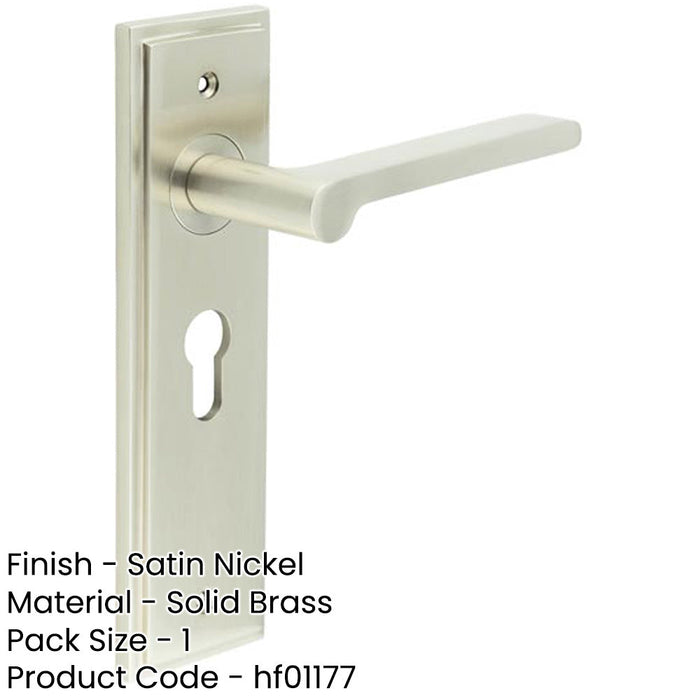 Satin Nickel Euro Backplate Door Handle Elegant Interiors Solid Brass Interior Handle-1