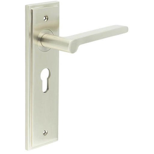 Satin Nickel Euro Backplate Door Handle Elegant Interiors Solid Brass Interior Handle