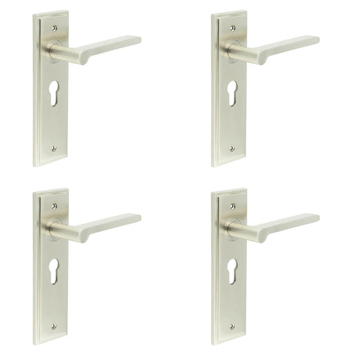 PACK Satin Nickel Euro Backplate Door Handle Elegant Interiors Solid Brass Interior Handle