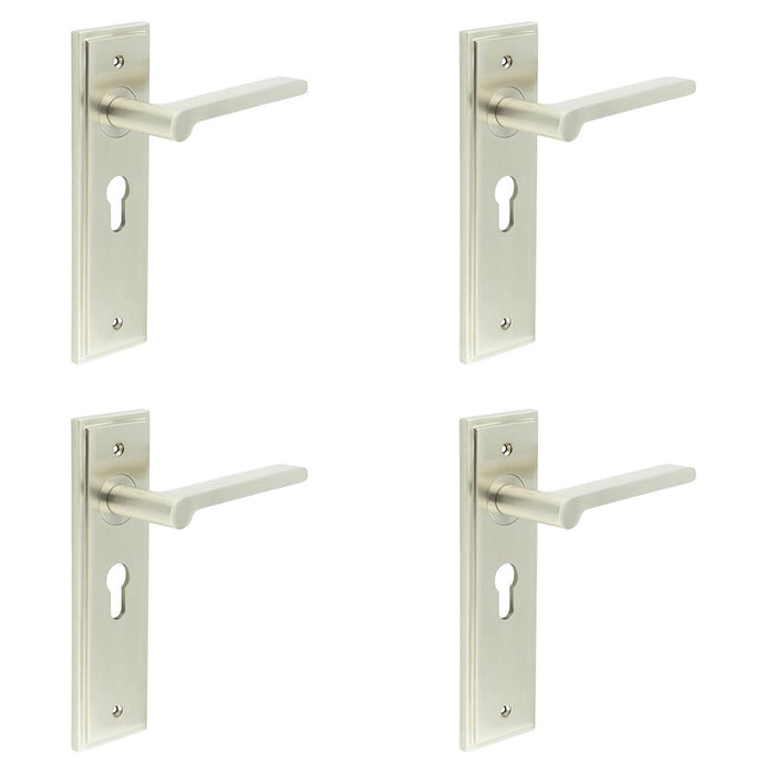 PACK Satin Nickel Euro Backplate Door Handle Elegant Interiors Solid Brass Interior Handle