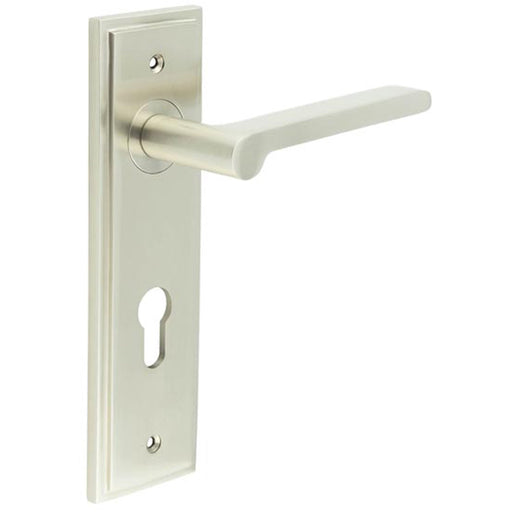 Satin Nickel Door Handle with Euro Backplate Elegant Brass Lever Solid Brass Interior Handle