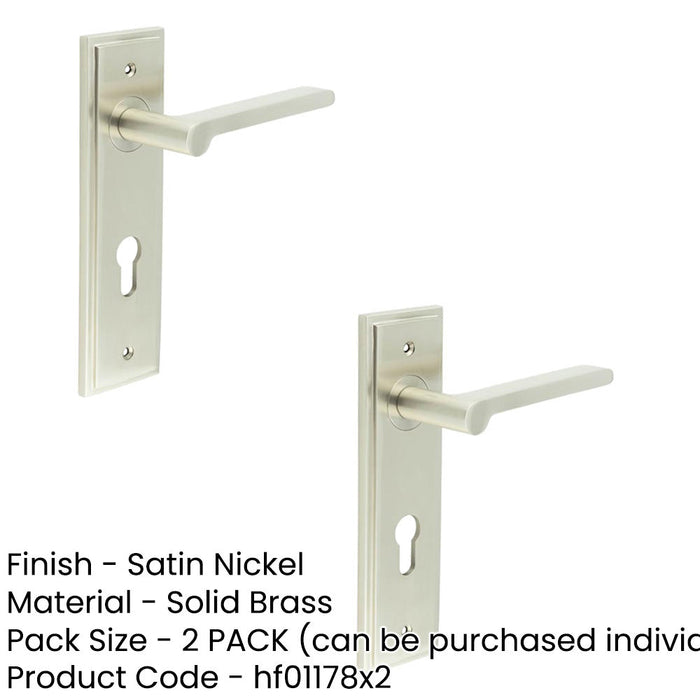 PACK Satin Nickel Door Handle with Euro Backplate Elegant Brass Lever Solid Brass Interior Handle (1)-1