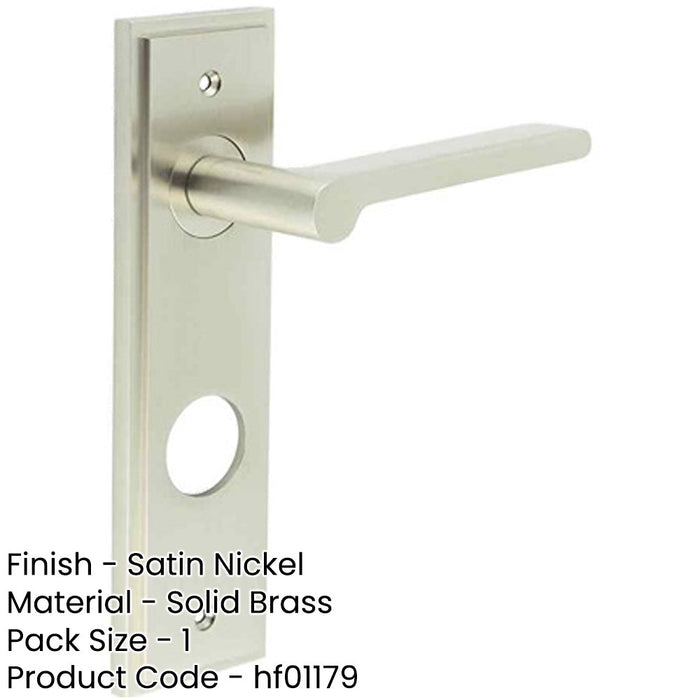 Satin Nickel Bathroom Door Handle with Backplate Solid Brass Interior Handle-1