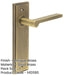 Elegant Antique Brass Door Handle Latch Backplate Luxurious Interiors Solid Brass Interior Handle-1