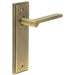 Elegant Antique Brass Door Handle Latch Backplate Luxurious Interiors Solid Brass Interior Handle