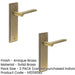 PACK Elegant Antique Brass Door Handle Latch Backplate Luxurious Interiors Solid Brass Interior Handle (1)-1