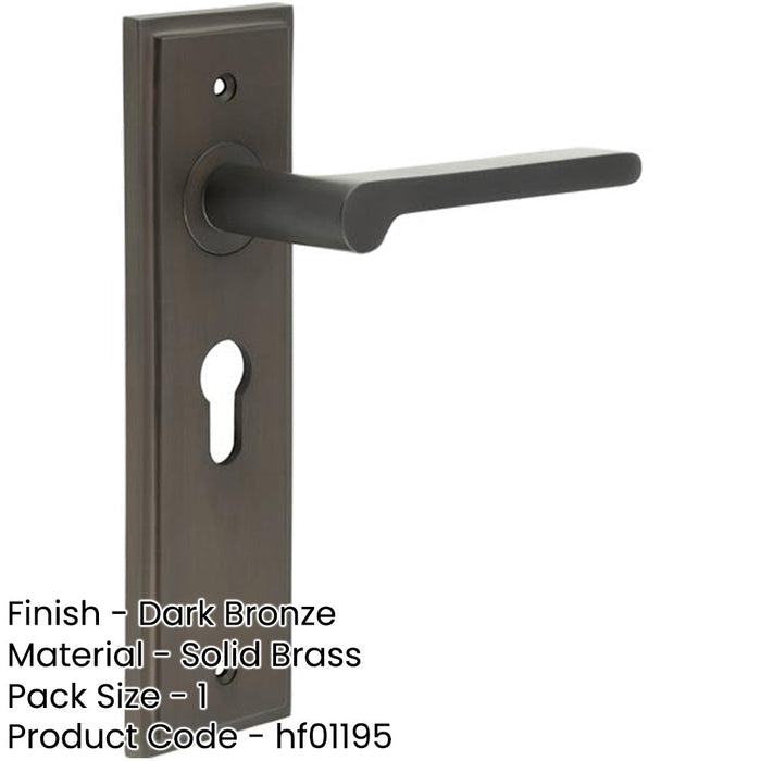 Elegant Dark Bronze Door Handle with Euro Backplate Solid Brass Interior Handle-1