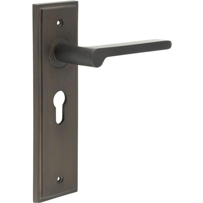 Elegant Dark Bronze Door Handle with Euro Backplate Solid Brass Interior Handle