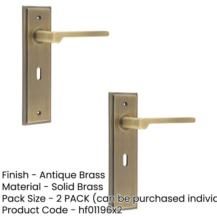 PACK Antique Brass Door Handle Lock Backplate Elegant Homes Solid Brass Interior Handle (1)-1