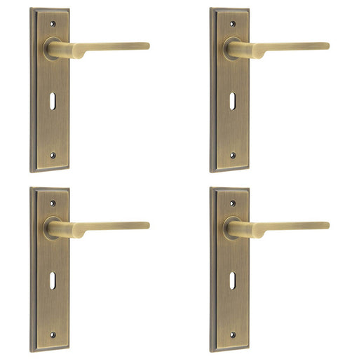 PACK Antique Brass Door Handle Lock Backplate Elegant Homes Solid Brass Interior Handle