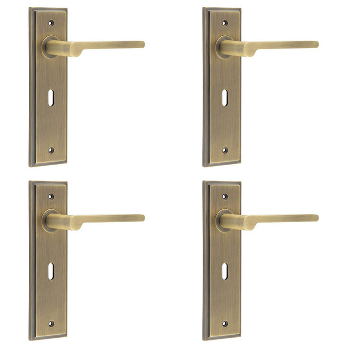 PACK Antique Brass Door Handle Lock Backplate Elegant Homes Solid Brass Interior Handle