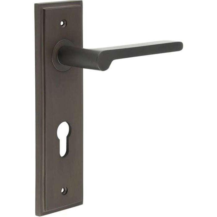 Elegant Dark Bronze Door Handle with Euro Backplate Solid Brass Interior Handle (1)