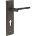 Elegant Dark Bronze Door Handle with Euro Backplate Solid Brass Interior Handle (1)