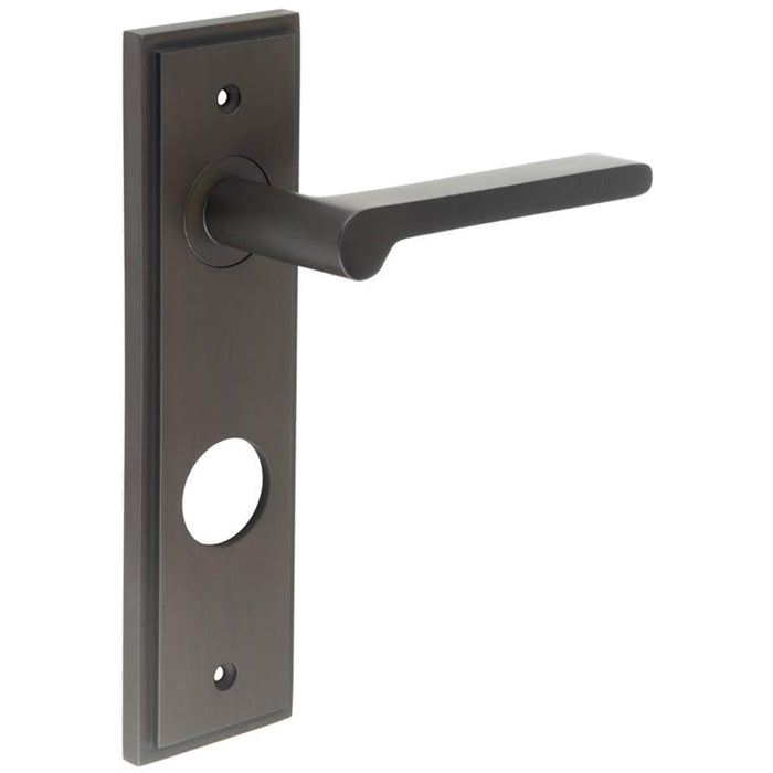 Elegant Dark Bronze Door Handle with Backplate Bathrooms Solid Brass Interior Handle (2)