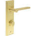 Satin Brass Door Handle with Backplate Turn Release Bathrooms Solid Brass Interior Handle