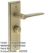 Antique Brass Bathroom Door Handle with Backplate Turn Release Mechanism Solid Brass Interior Handle-1