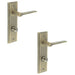 PACK Antique Brass Door Handle with Backplate Bathroom Solid Brass Interior Handle (3)