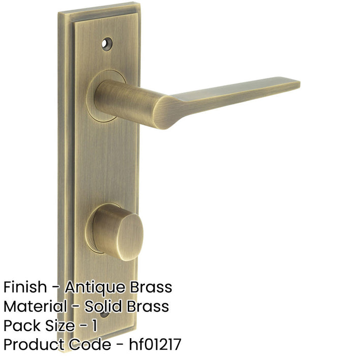 Elegant Antique Brass Door Handle with Backplate Bathrooms Solid Brass Interior Handle-1