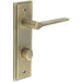 Elegant Antique Brass Door Handle with Backplate Bathrooms Solid Brass Interior Handle