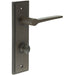 Elegant Dark Bronze Door Handle with Backplate Bathrooms Solid Brass Interior Handle (3)