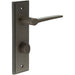 Elegant Dark Bronze Door Handle with Backplate Bathrooms Solid Brass Interior Handle (4)