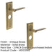 PACK Antique Brass Lever Door Handle with Backplate Bathroom Solid Brass Interior Handle (1)-1