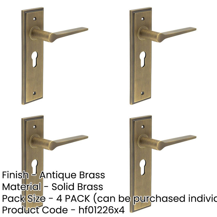 PACK Antique Brass Euro Backplate Door Handle Elegant Durable Solid Brass Interior Handle-1