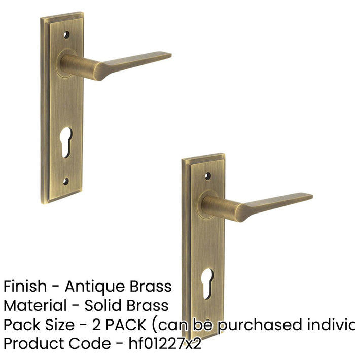 PACK Antique Brass Euro Backplate Door Handle Modern Homes Solid Brass Interior Handle (1)-1