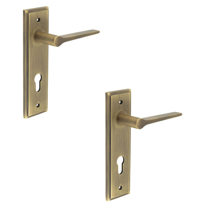 PACK Antique Brass Euro Backplate Door Handle Modern Homes Solid Brass Interior Handle (1)