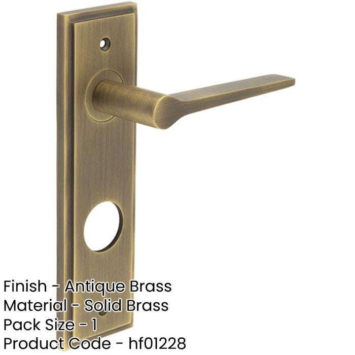 Antique Brass Door Handle with Backplate Bathrooms Solid Brass Interior Handle (1)-1