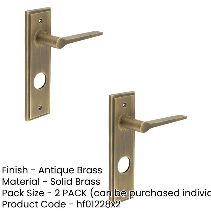 PACK Antique Brass Door Handle with Backplate Bathrooms Solid Brass Interior Handle (4)-1