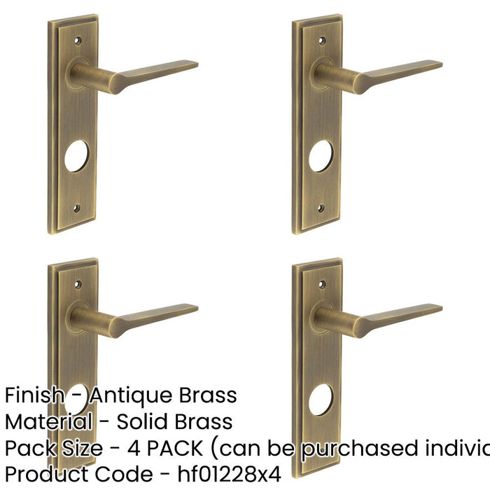 PACK Antique Brass Door Handle with Backplate Bathrooms Solid Brass Interior Handle (1)-1