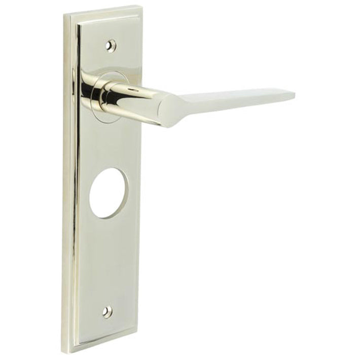 Polished Nickel Bathroom Door Handle with Backplate Solid Brass Interior Handle