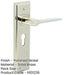 Stylish Polished Nickel Door Handle with Euro Backplate Solid Brass Interior Handle-1