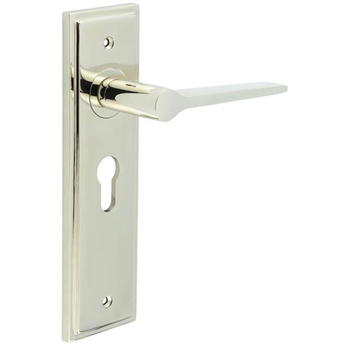 Stylish Polished Nickel Door Handle with Euro Backplate Solid Brass Interior Handle