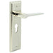 Stylish Polished Nickel Door Handle with Euro Backplate Solid Brass Interior Handle