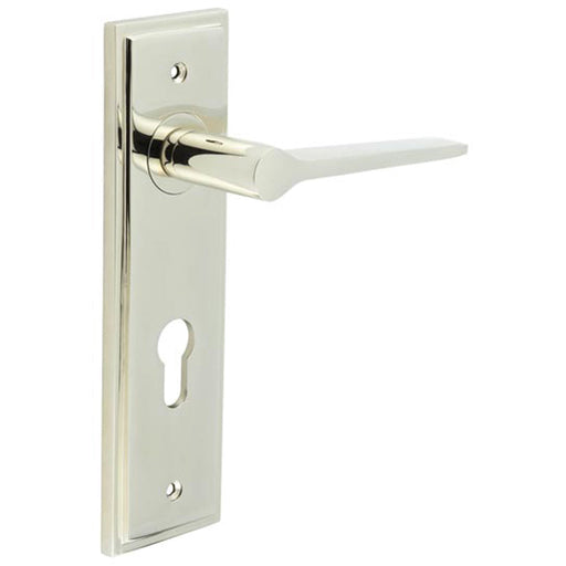 Stylish Euro Backplate Door Handle Polished Nickel Solid Brass Interior Handle